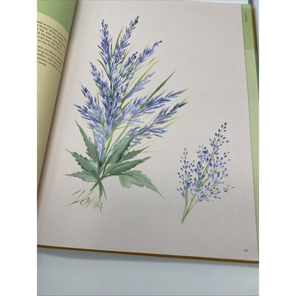 Essential One-Stroke Painting Reference by Donna Dewberry (hardcover) 2009 - Picture 14 of 16